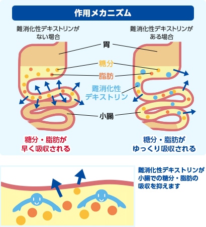 ��������f�L�X�g������p���J�j�Y��