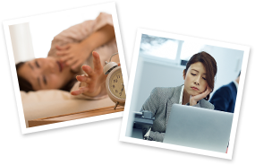 �������ȏ���