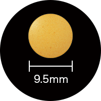 �r�^�~��B2