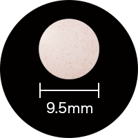 �r�^�~��B12