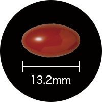 �R�G���U�C��Q10