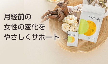 �u�g�R�G���v�V����