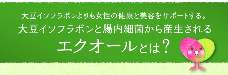 �哤�C�\�t���{�����������z�������Ɏ������������鐬���B�哤�C�\�t���{���ƒ����׋ۂ���Y�������G�N�I�[���Ƃ́H