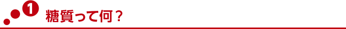 ポイント1 糖質って何?