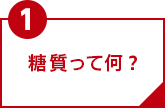 ポイント1 糖質って何?