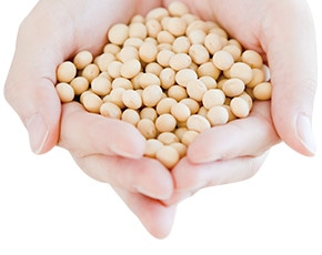 �|�C���g2�@�܂�����I�哤�̉h�{