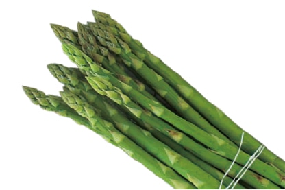 �A�X�p���K�X