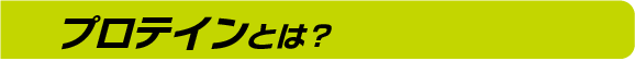 プロテインとは?