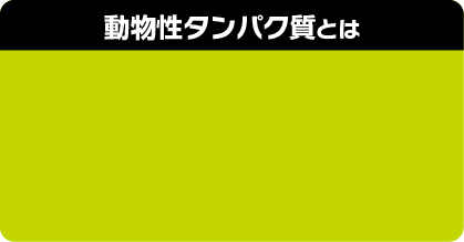 動物性タンパク質とは
