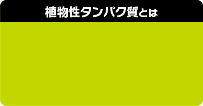 植物性タンパク質とは