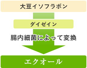 �G�N�I�[���̕ω�