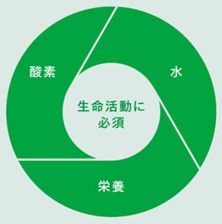 �_�f�E���E�h�{�̏z�}