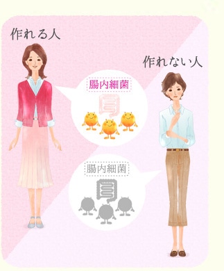 エクオールをつくれる人は約2人に1人