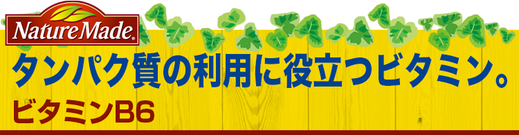 ネイチャーメイド ビタミンB6｜【大塚製薬の公式通販】オオツカ・プラスワン