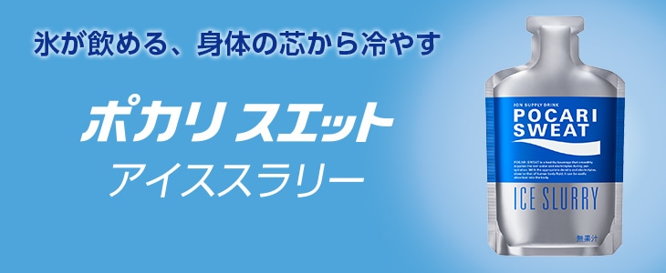 ポカリスエット アイススラリー 100g×6袋｜【大塚製薬の公式通販 