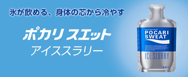 ポカリスエット アイススラリー 100g 6袋 大塚製薬の公式通販 オオツカ プラスワン