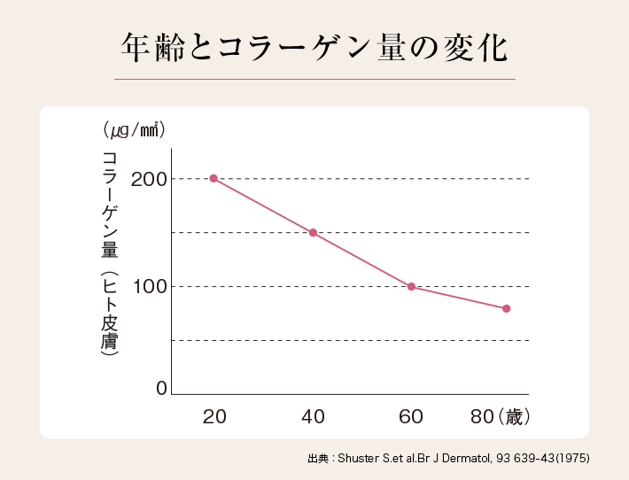 肌の若々しさをキープする エクオール のパワー 大塚製薬の公式通販 オオツカ プラスワン